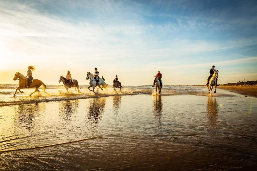 Royal Hideaway Sancti Petri Otel Chiclana de la Frontera Dış mekan fotoğraf